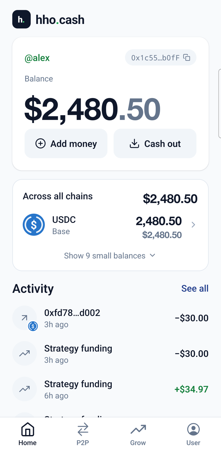 hho.cash home screen: the @alex account showing a balance of $2,480.50 in USDC, Add money and Cash out buttons, an 'Across all chains' holdings card, and a recent activity list.